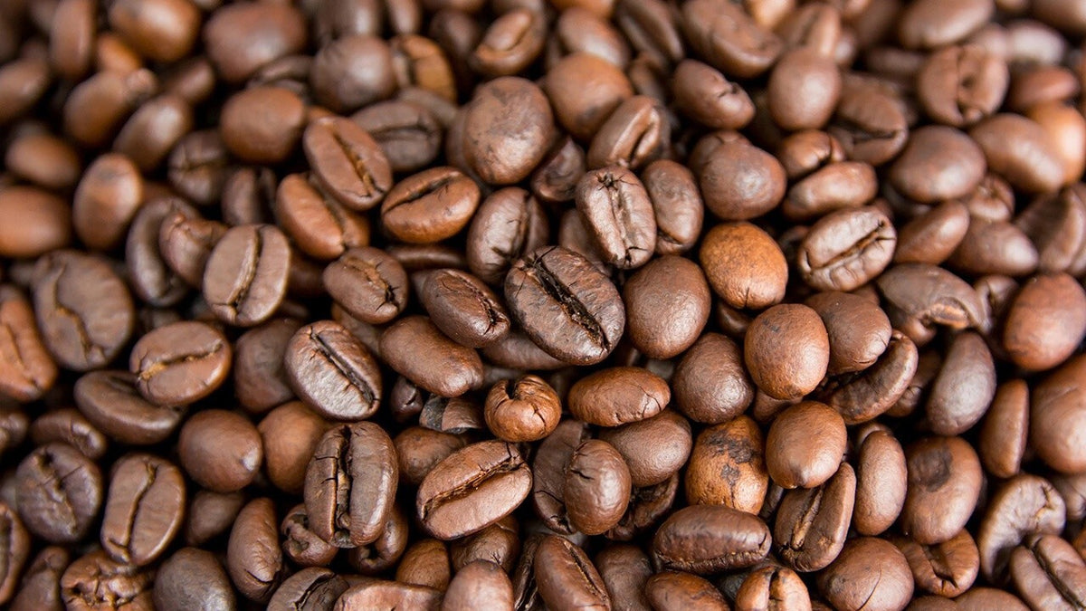 Close-up of roasted Shadowbrook Mountainview Blend coffee beans