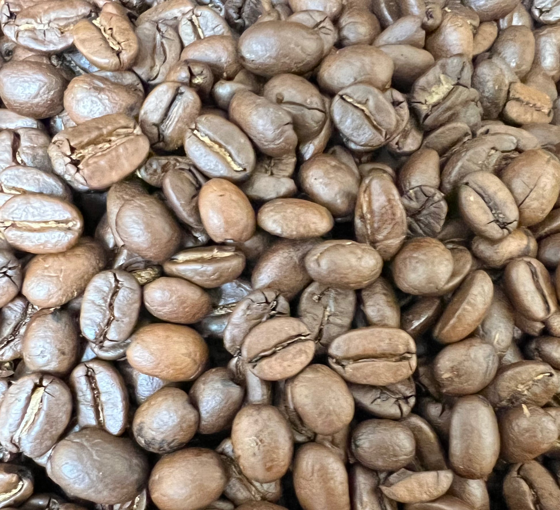 A photo of a blend of freshly roasted coffee beans